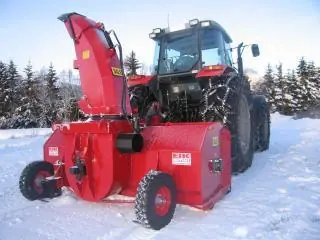 Dalen 2010