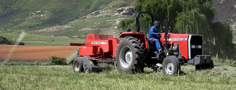 Massey Ferguson MF 290 Xtra