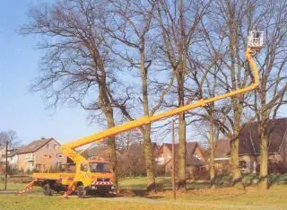 Ruthmann T 230