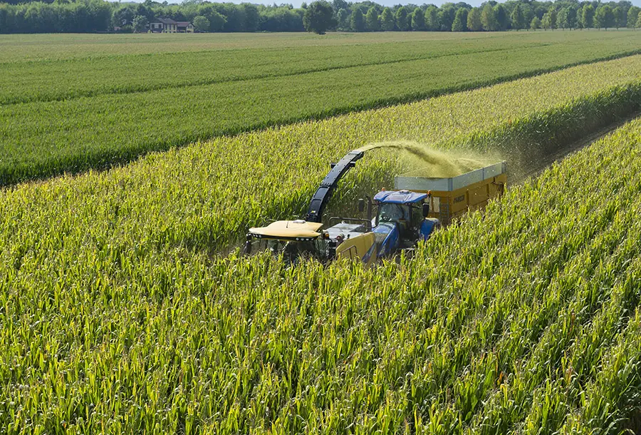 New Holland FR 650