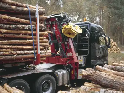 Loglift F 265Z-DT