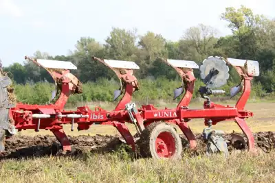Unia Ibis L-H 3+ premium