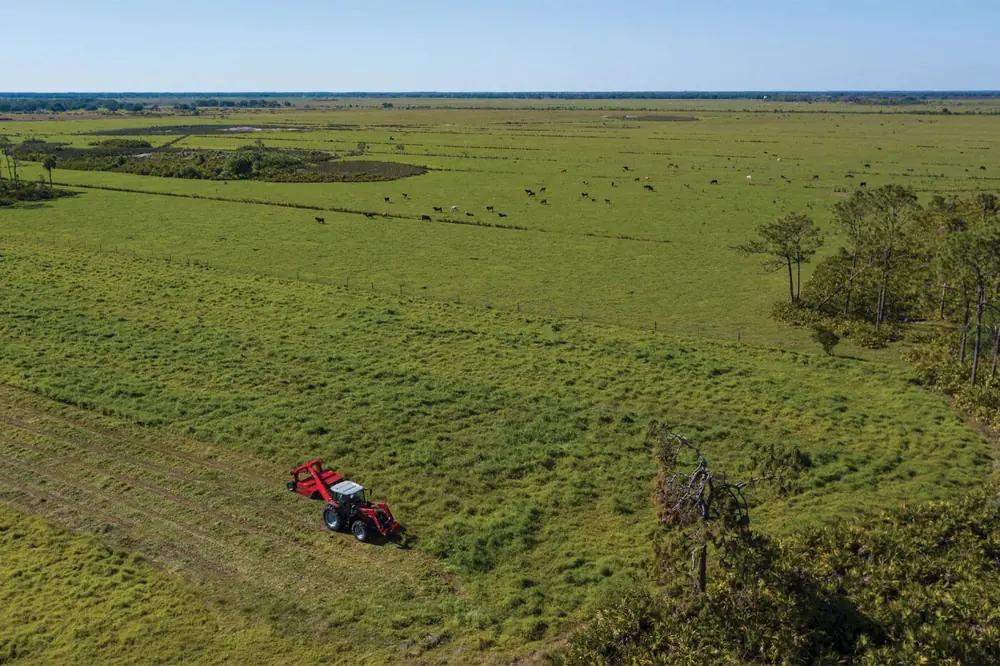 Massey Ferguson 1373 thumbnail 5