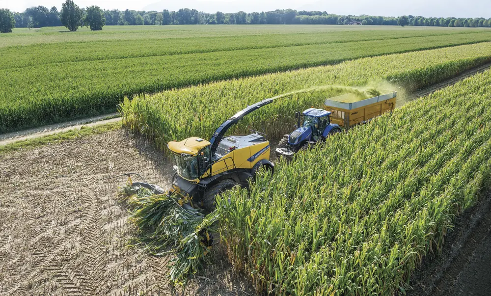 New Holland FR 780 thumbnail 18