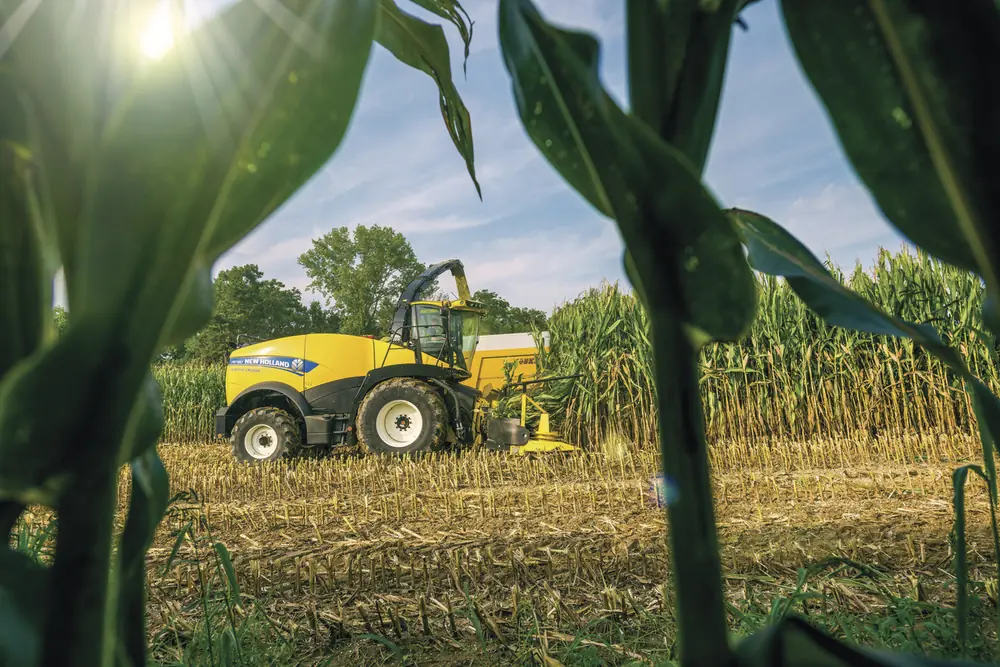 New Holland FR 780 thumbnail 19