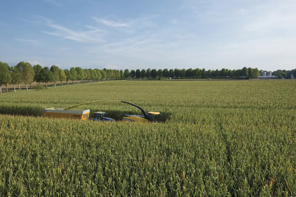 New Holland FR 780 thumbnail 3