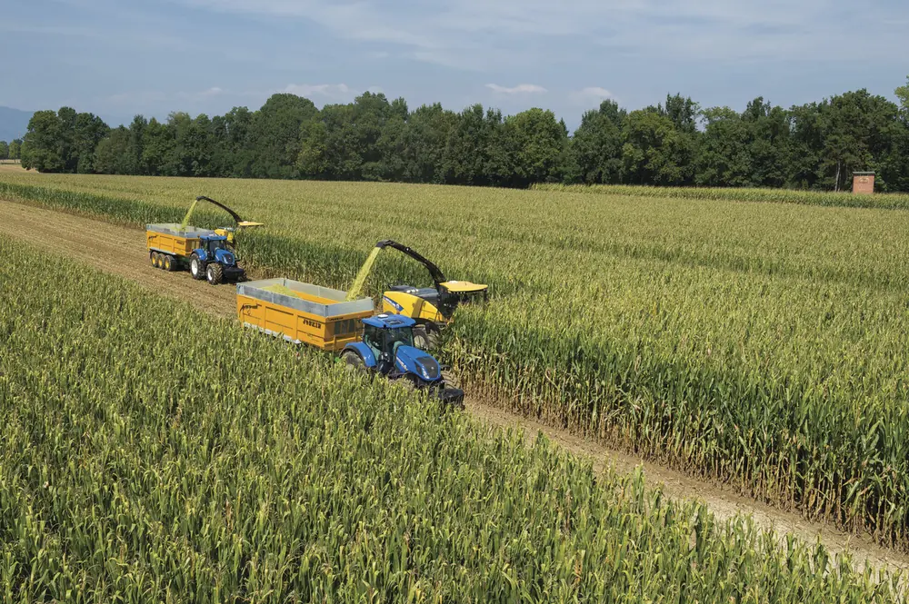New Holland FR 780 thumbnail 10
