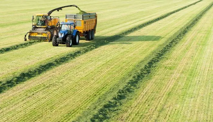 New Holland FR 500 thumbnail 11