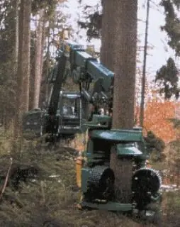 Impex Königstiger II