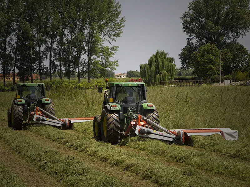 Maschio Debora Pro 220 GM thumbnail 3