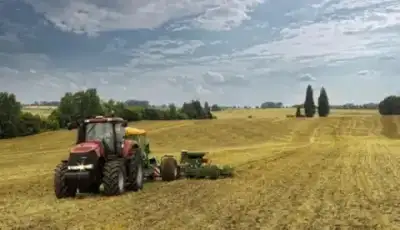 Case IH Magnum 250 Profi 1 thumbnail 4
