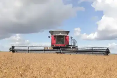 Massey Ferguson MF 9795