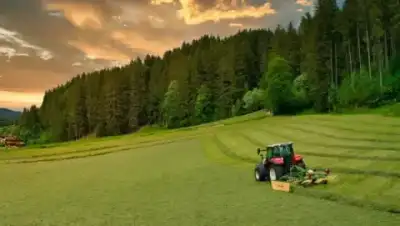 Krone Swadro S 350 Highland thumbnail 2