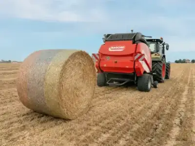 Maschio Extreme 365 HTU