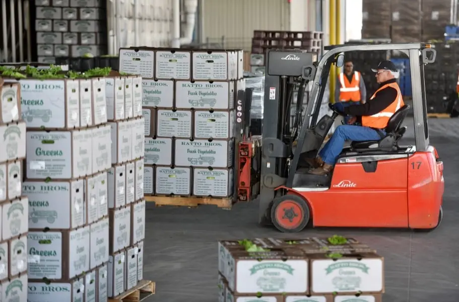 Linde E20C
