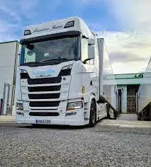 Scania S 520 A6x2NA