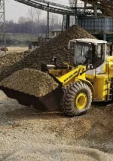 New Holland W 270 e