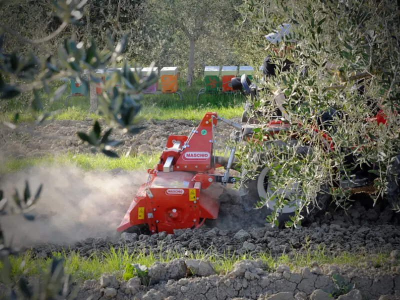 Maschio W 105 thumbnail 3