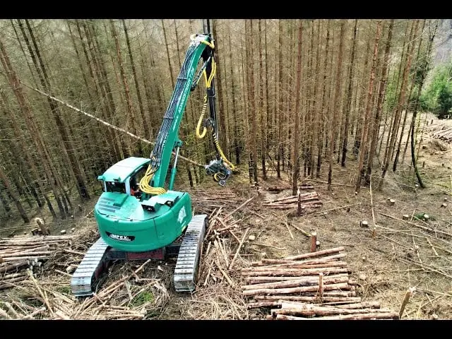Impex Tiger 20