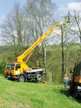Palfinger WT 270