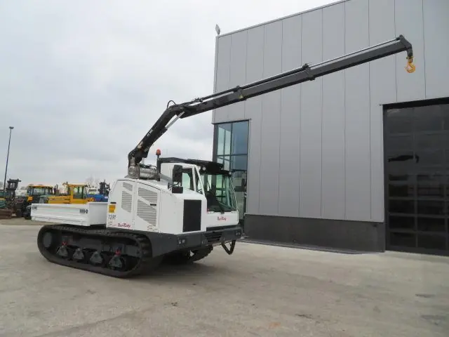 Bergmann 4010T