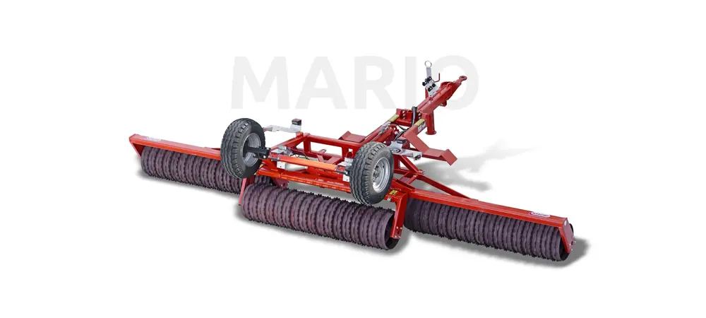 Maschio Mario
