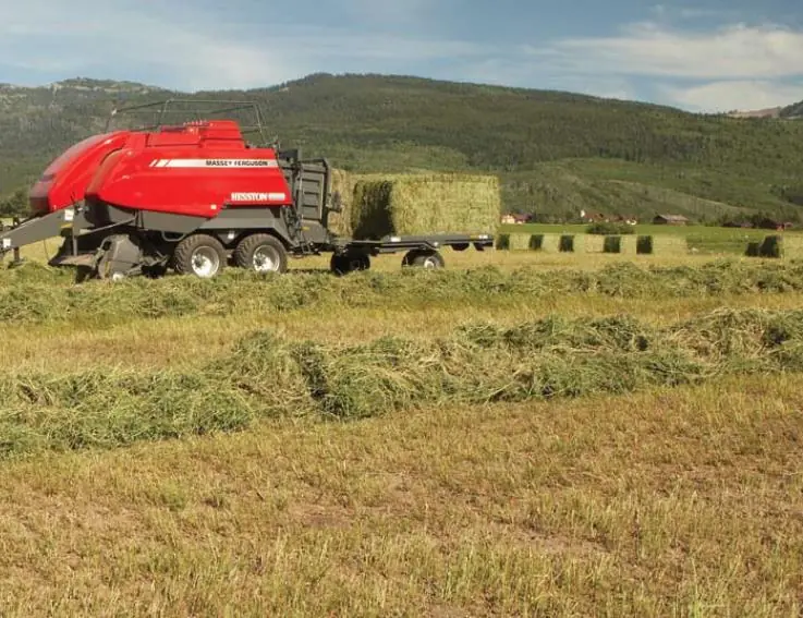 Massey Ferguson MF 2190 TC thumbnail 2