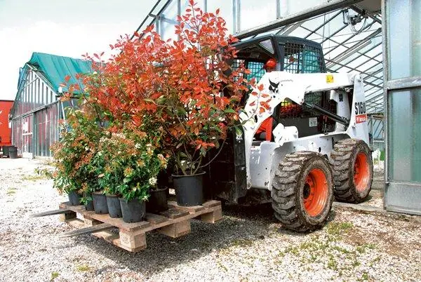 Bobcat S 160 thumbnail 4