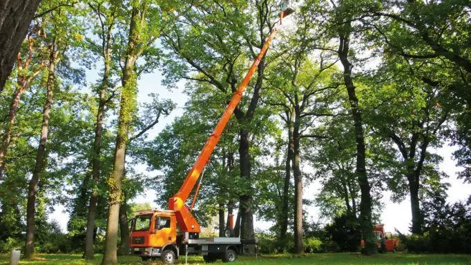 Wumag-Palfinger WT 270 thumbnail 3