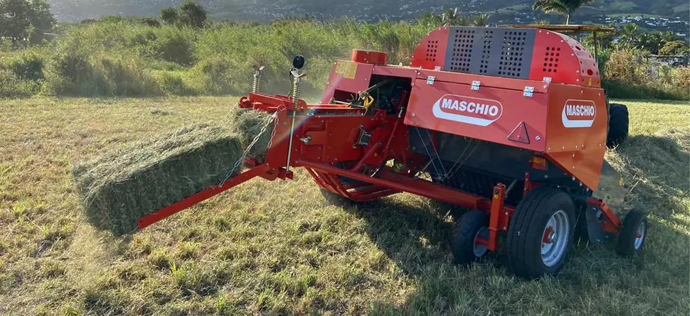 Maschio Pitagora thumbnail 2