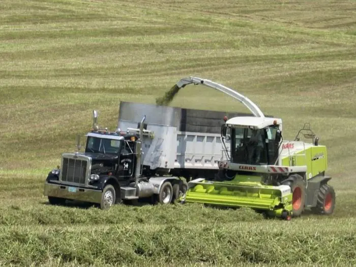 Claas Jaguar 890
