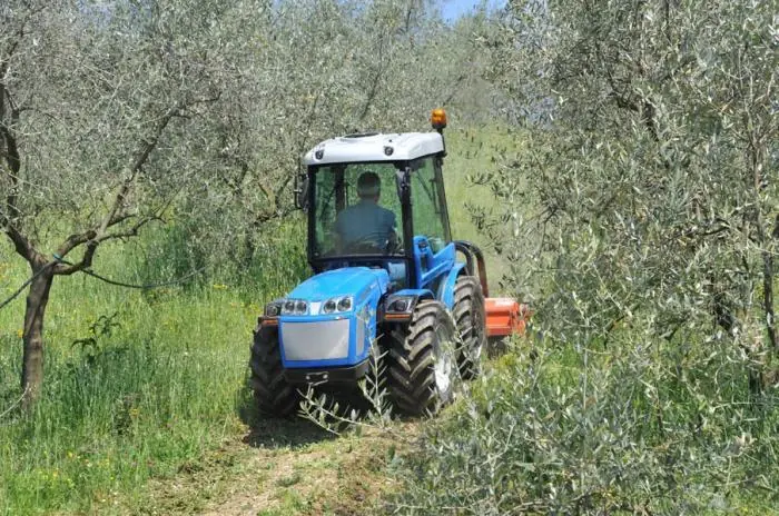 BCS Valiant 650 MT Rev. thumbnail 17