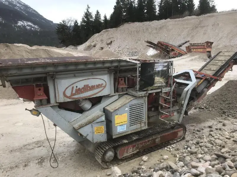 Liedlbauer 2011 Bulltrack