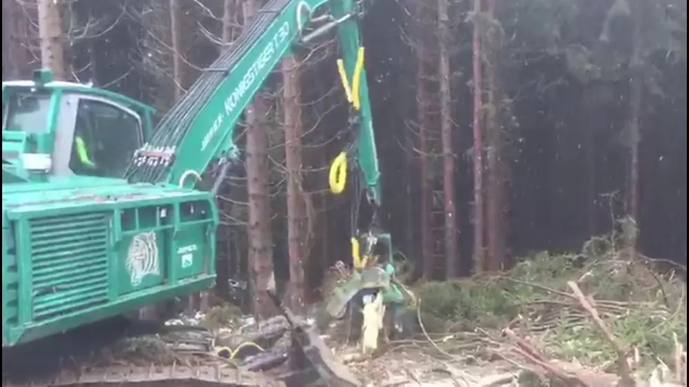 Impex Königstiger T 30 Gigant