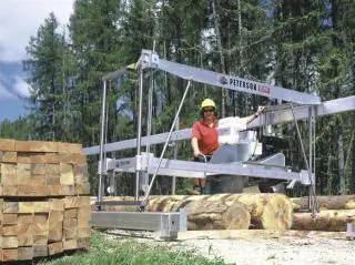 Peterson WPF 10