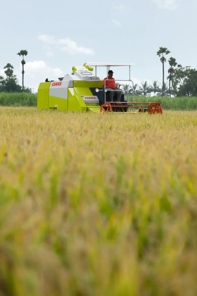 Claas Crop Tiger 40 Terra Trac