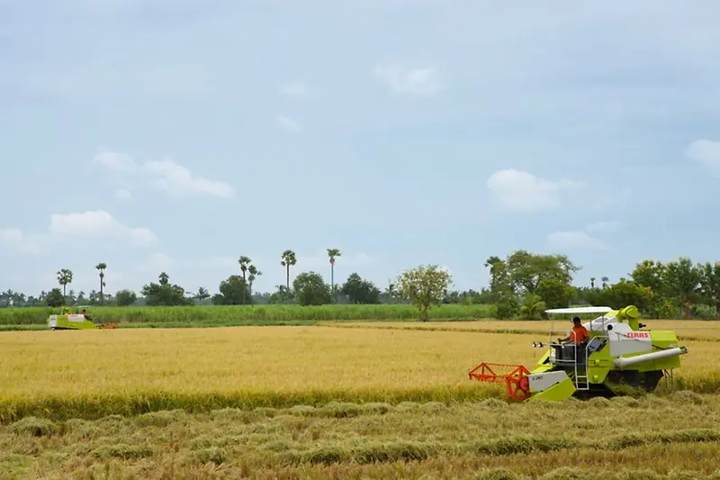 Claas Crop Tiger 40 Terra Trac thumbnail 2