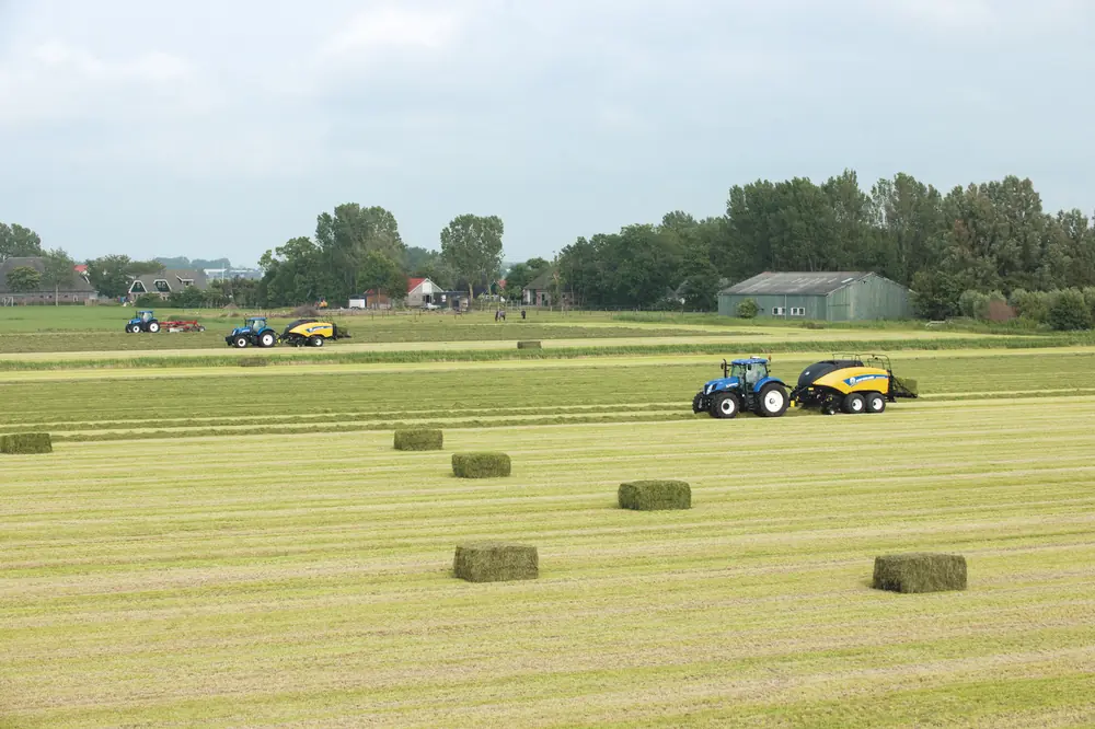 New Holland BB 1290 S thumbnail 9