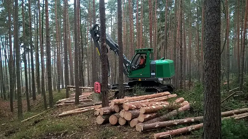 Neuson Forest 103HV thumbnail 2