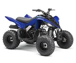 Yamaha RAPTOR 90
