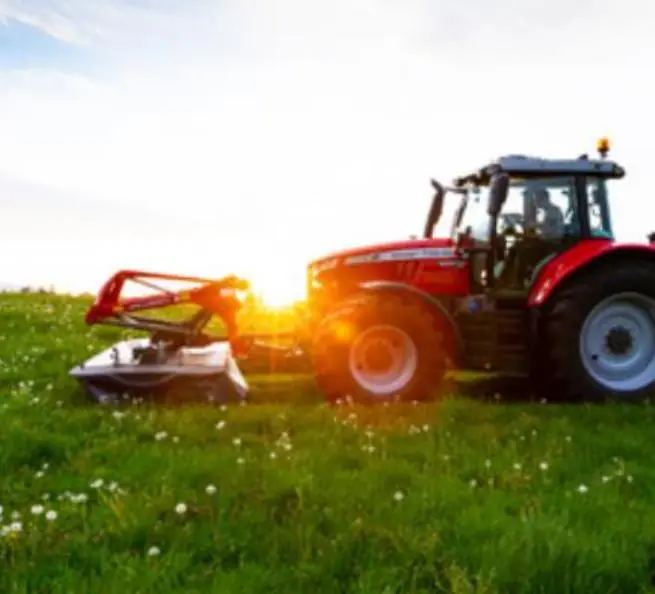 Massey Ferguson DM316 FQ thumbnail 4