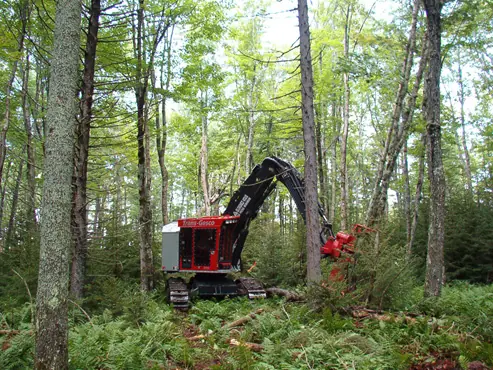 Tanguay TG360