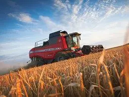 Massey Ferguson Beta 7370 thumbnail 2