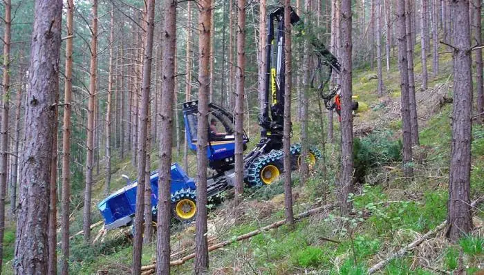 Rottne H 11 thumbnail 13