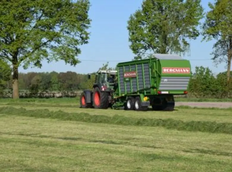 L. Bergmann Royal 260 S thumbnail 4
