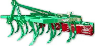 Regent Tukan DSG 300