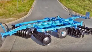 Rabe Falke TLS 28-C2