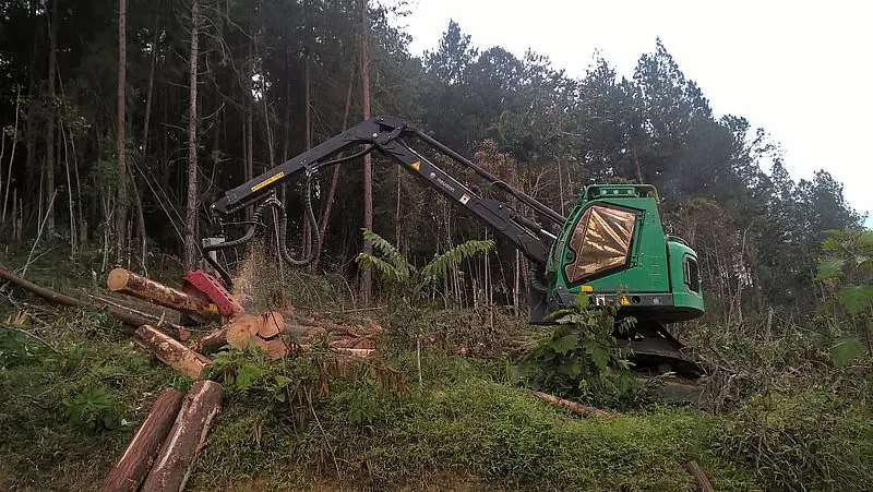 Neuson Forest 183HVT