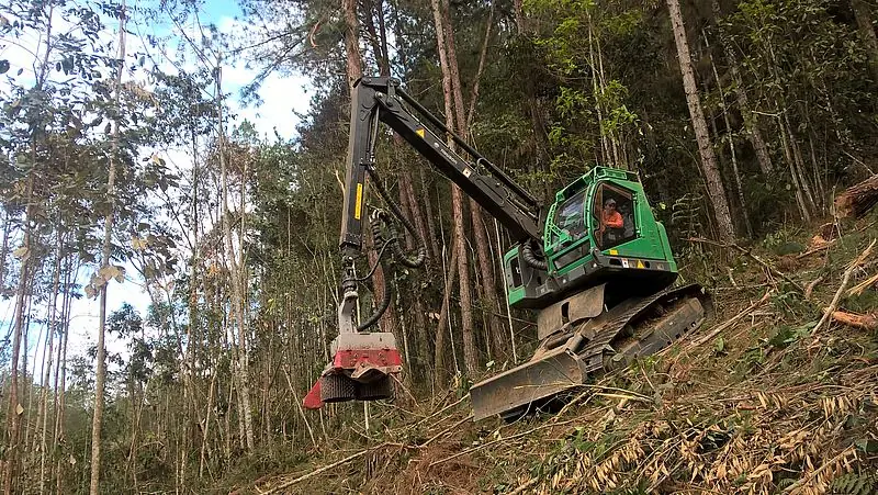 Neuson Forest 183HVT thumbnail 2