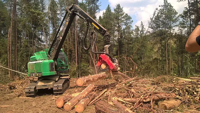 Neuson Forest 183HVT thumbnail 6